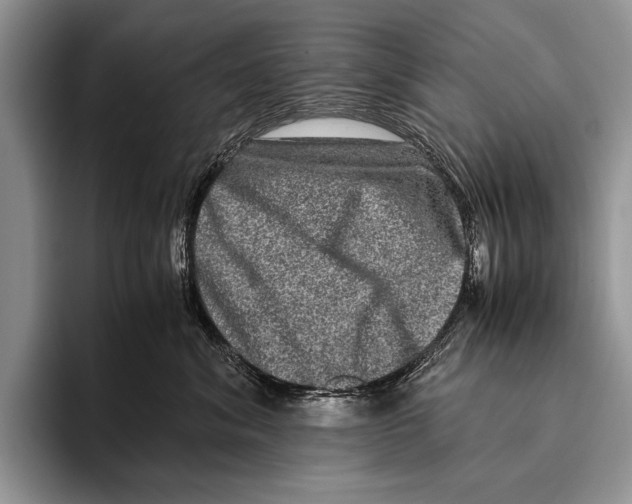 X0000095950620200802081258