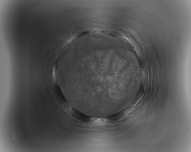 X0000095950621200802081258