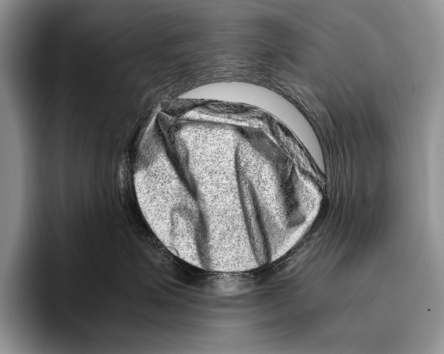 X0000095950623200802081258