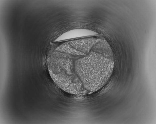 X0000095950624200802081258