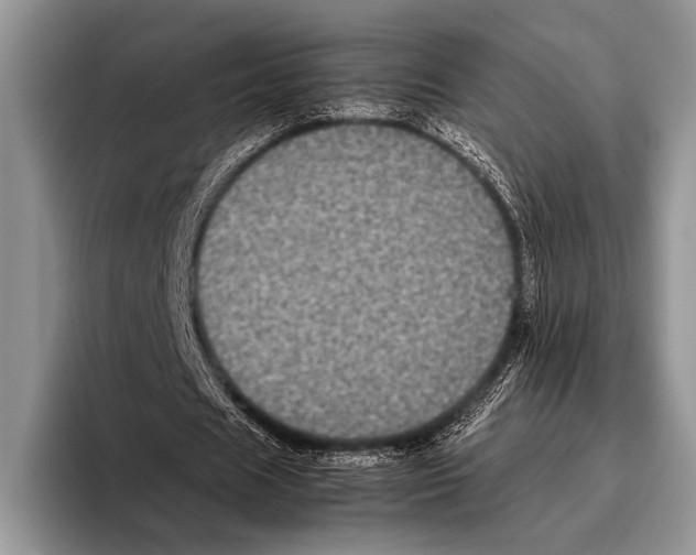 X0000095950625200802081258