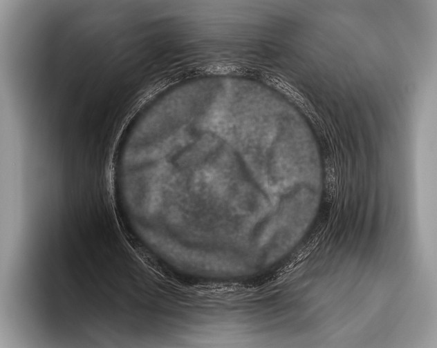 X0000095950626200802081258