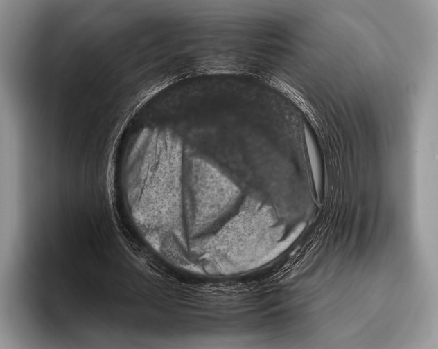 X0000095950627200802081258