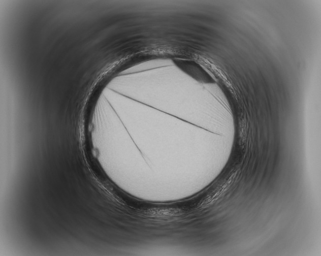 X0000095950629200802081258