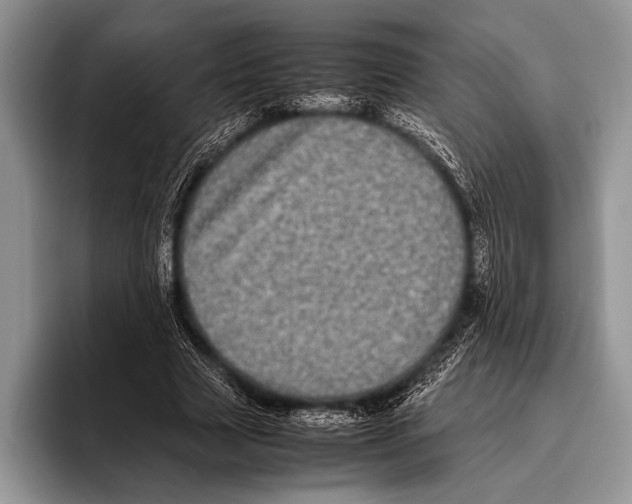 X0000095950633200802081258