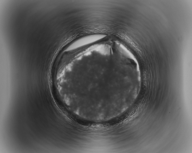 X0000095950634200802081258