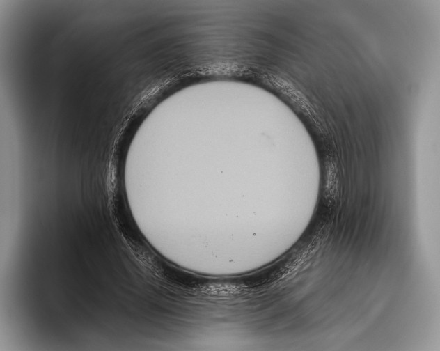 X0000095950636200802081258