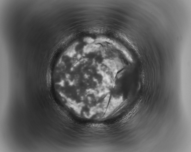 X0000095950637200802081258