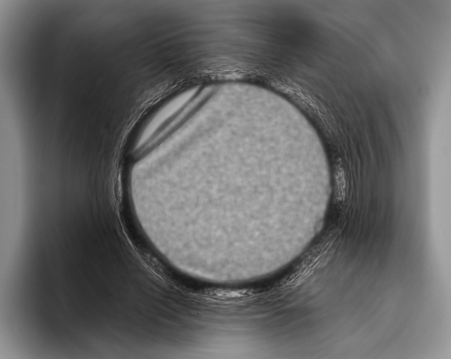 X0000095950638200802081258