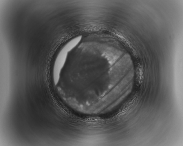 X0000095950642200802081258