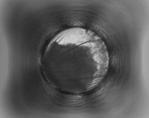 X0000095950643200802081258