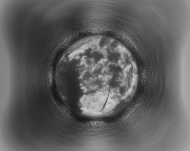 X0000095950644200802081258