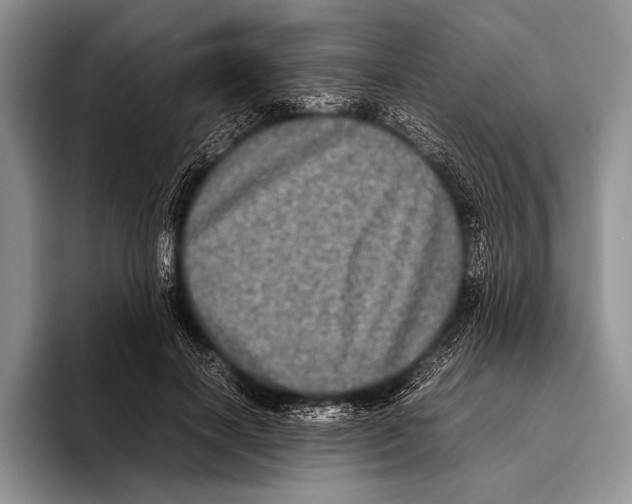 X0000095950646200802081258