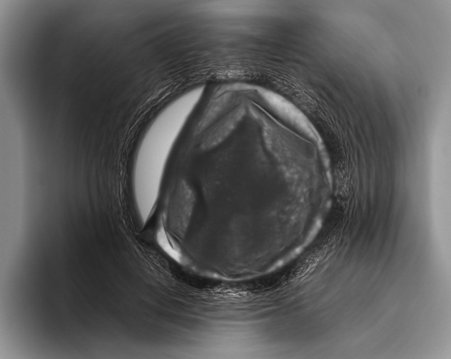 X0000095950648200802081258