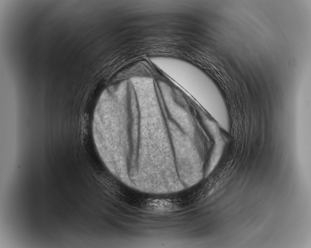 X0000095950649200802081258