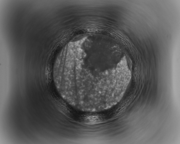 X0000095950653200802081258