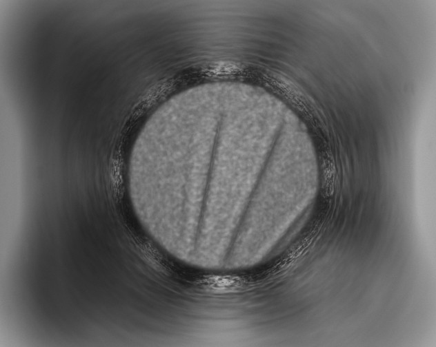 X0000095950654200802081258