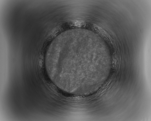 X0000095950656200802081258