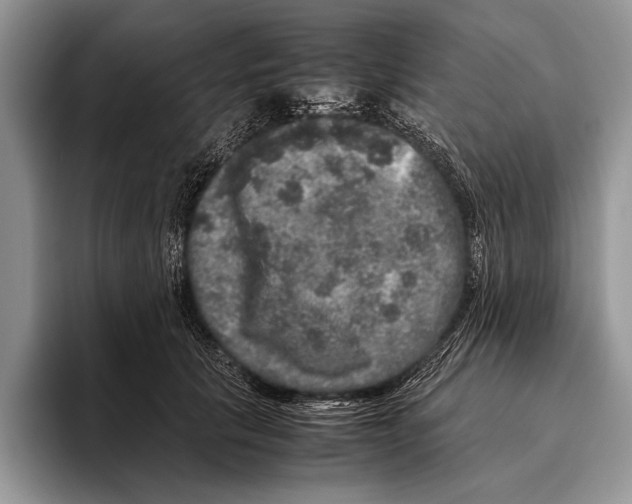 X0000095950657200802081258