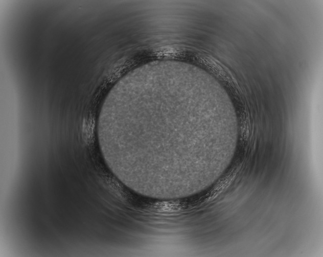 X0000095950660200802081258