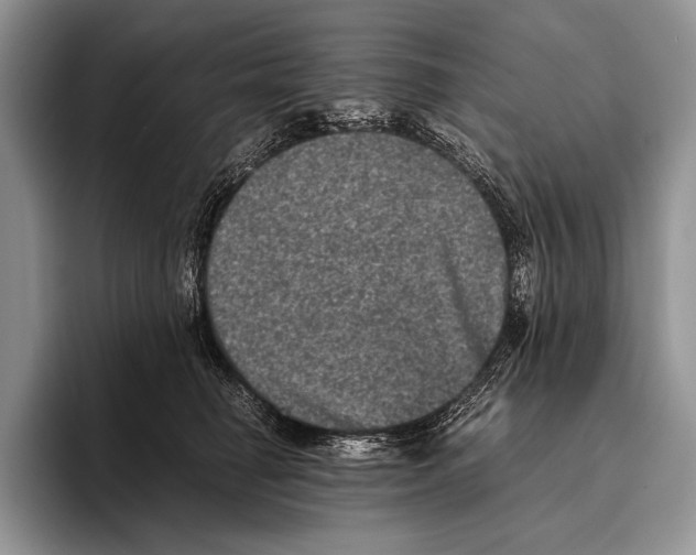 X0000095950662200802081258