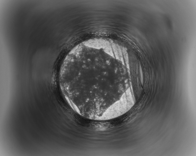 X0000095950663200802081258