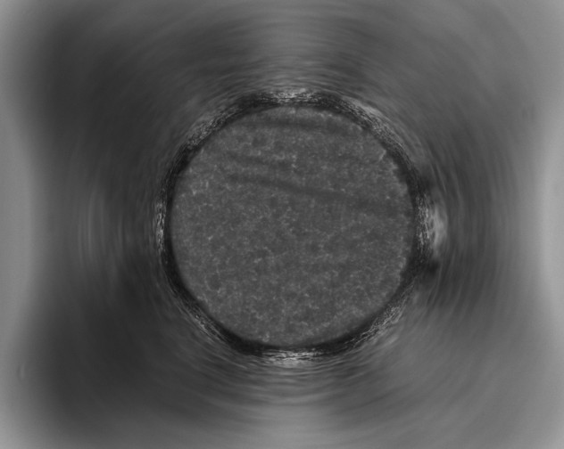 X0000095950664200802081258