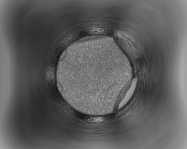 X0000095950665200802081258