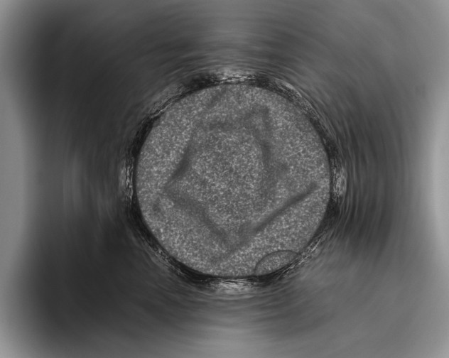 X0000095950666200802081258