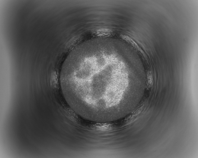 X0000095950667200802081258