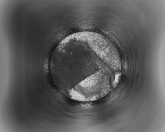 X0000095950668200802081258