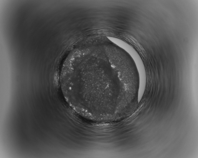 X0000095950669200802081258