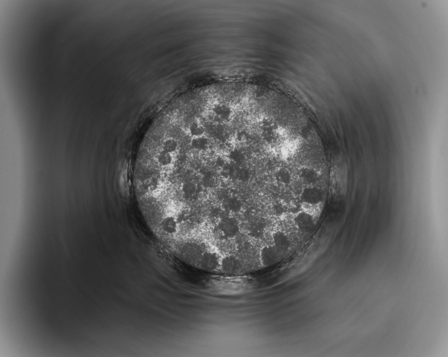 X0000095950671200802081258