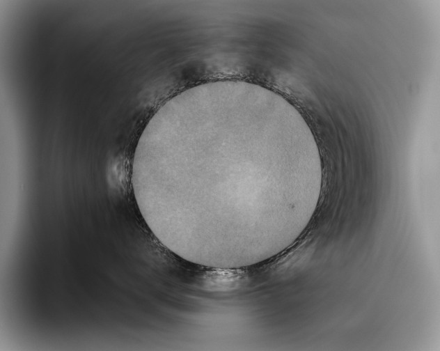 X0000095950672200802081258