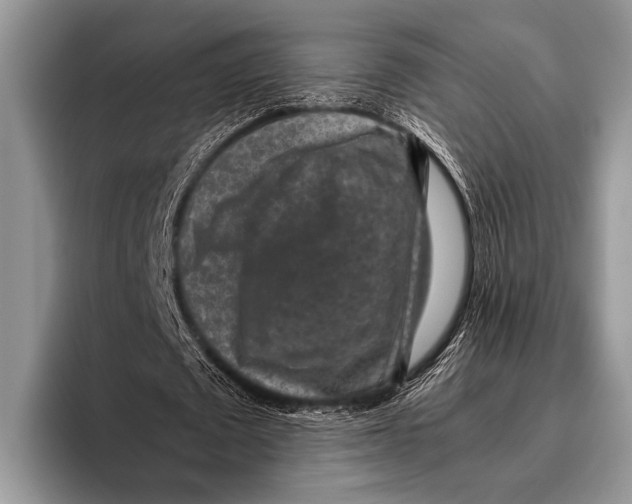 X0000095950673200802081258