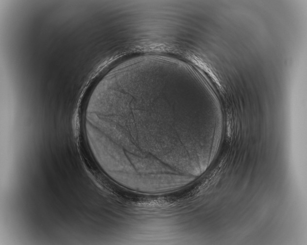 X0000095950674200802081258