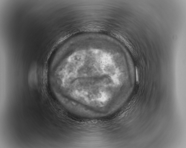 X0000095950675200802081258