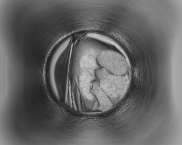 X0000095950676200802081258