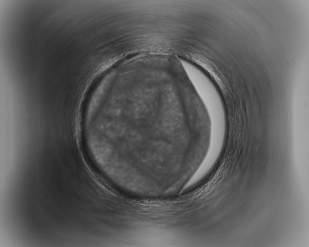 X0000095950677200802081258