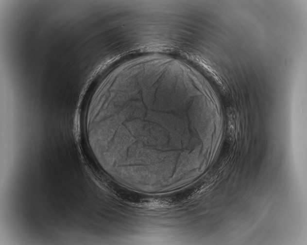 X0000095950678200802081258