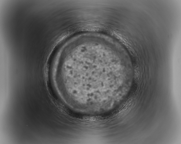 X0000095950679200802081258