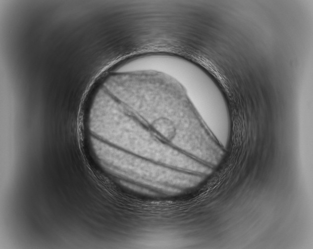 X0000095950680200802081258