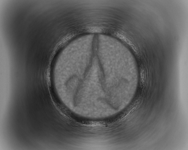 X0000095950682200802081258