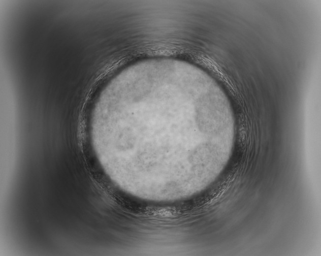 X0000095950683200802081258