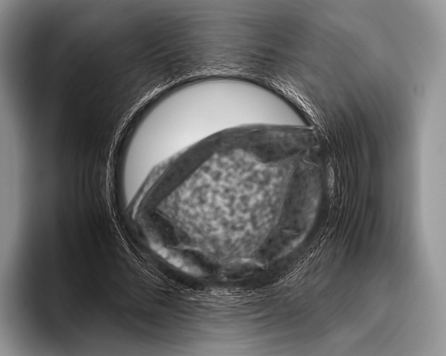 X0000095950684200802081258