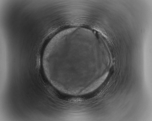 X0000095950685200802081258