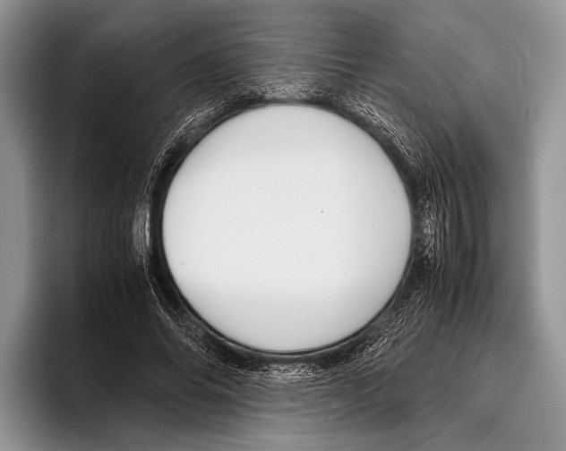 X0000095950686200802081258