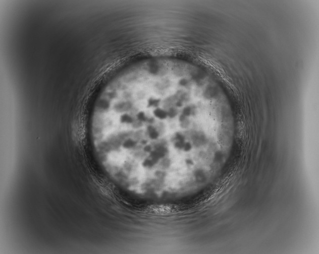 X0000095950687200802081258