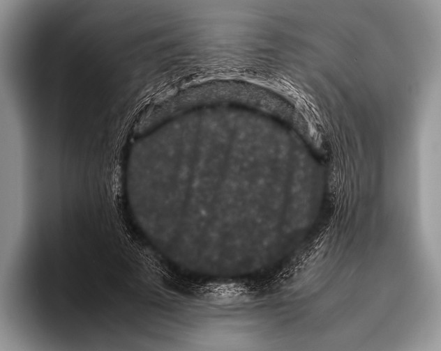 X0000095950689200802081258