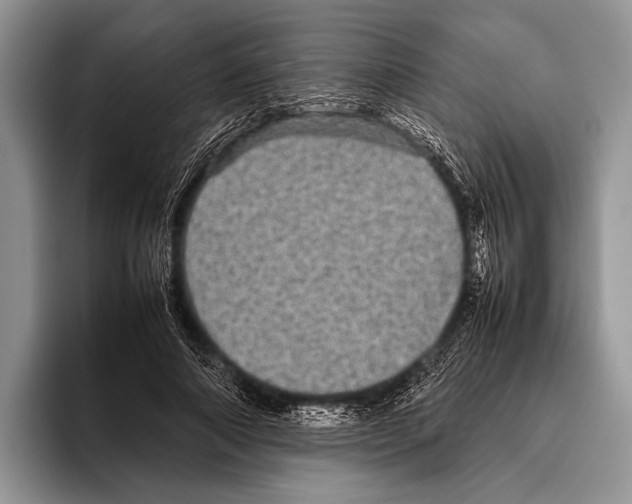 X0000095950690200802081258